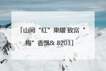 山间“红”果缀 致富“梅”香飘& 8203