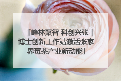 峰林聚智 科创兴张｜博士创新工作站激活张家界莓茶产业新动能
