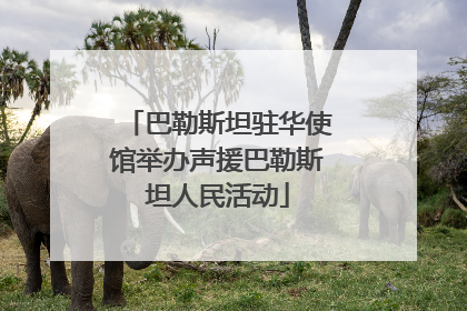 巴勒斯坦驻华使馆举办声援巴勒斯坦人民活动