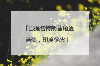 巴提名特朗普角逐诺奖，印度恼火