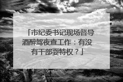 市纪委书记现场督导酒醉驾夜查工作：有没有干部耍特权？