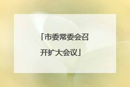 市委常委会召开扩大会议