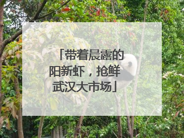 带着晨露的阳新虾，抢鲜武汉大市场