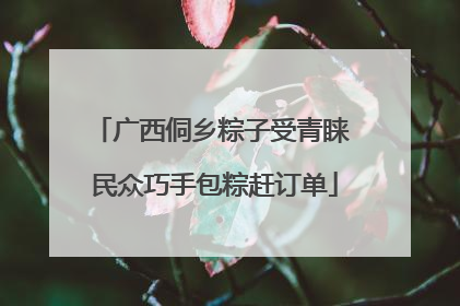 广西侗乡粽子受青睐 民众巧手包粽赶订单