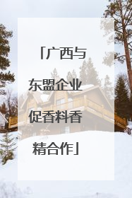 广西与东盟企业促香料香精合作