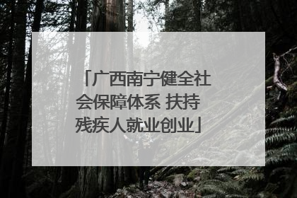 广西南宁健全社会保障体系 扶持残疾人就业创业