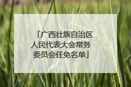 广西壮族自治区人民代表大会常务委员会任免名单