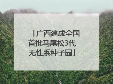 广西建成全国首批马尾松3代无性系种子园