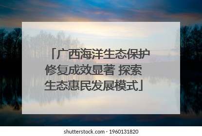 广西海洋生态保护修复成效显著 探索生态惠民发展模式