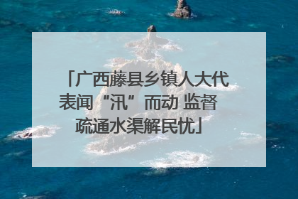 广西藤县乡镇人大代表闻“汛”而动 监督疏通水渠解民忧