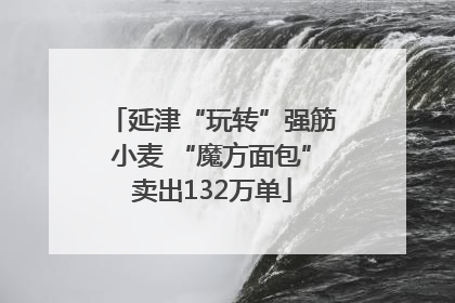 延津“玩转”强筋小麦 “魔方面包”卖出132万单