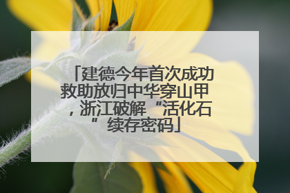 建德今年首次成功救助放归中华穿山甲，浙江破解“活化石”续存密码