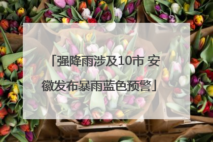 强降雨涉及10市 安徽发布暴雨蓝色预警