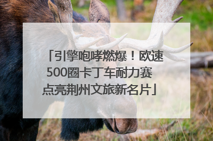 引擎咆哮燃爆！欧速500圈卡丁车耐力赛点亮荆州文旅新名片