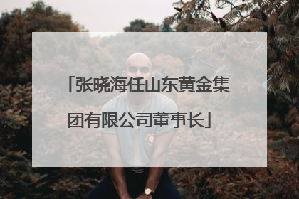 张晓海任山东黄金集团有限公司董事长