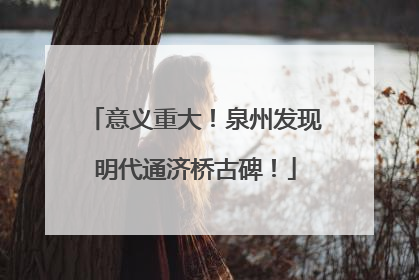 意义重大！泉州发现明代通济桥古碑！