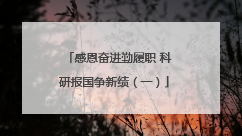 感恩奋进勤履职 科研报国争新绩（一）
