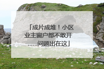 成片成堆！小区业主窗户都不敢开……问题出在这