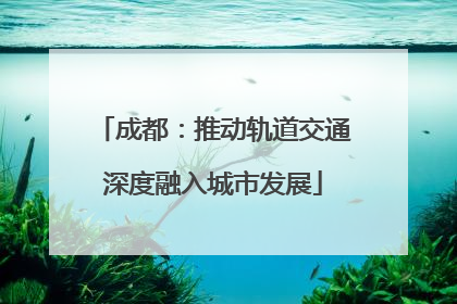 成都：推动轨道交通深度融入城市发展