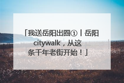 我送岳阳出圈①丨岳阳citywalk，从这条千年老街开始！