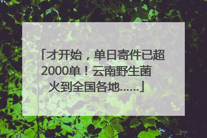 才开始，单日寄件已超2000单！云南野生菌火到全国各地……