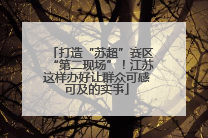 打造“苏超”赛区“第二现场”！江苏这样办好让群众可感可及的实事