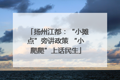 扬州江都：“小摊点”旁讲政策 “小爬爬”上话民生