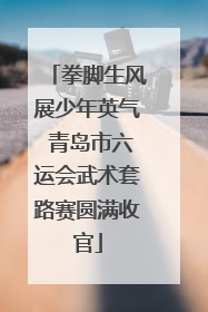 拳脚生风展少年英气 青岛市六运会武术套路赛圆满收官