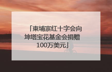 柬埔寨红十字会向坤塔宝花基金会捐赠100万美元