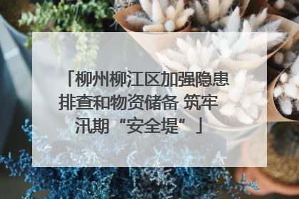 柳州柳江区加强隐患排查和物资储备 筑牢汛期“安全堤”