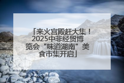 来火宫殿赶大集！2025中非经贸博览会“味道湖南”美食市集开启
