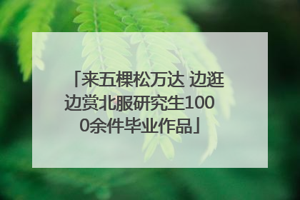 来五棵松万达 边逛边赏北服研究生1000余件毕业作品