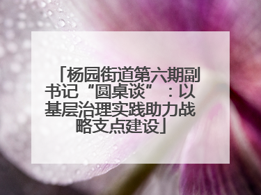 杨园街道第六期副书记“圆桌谈”：以基层治理实践助力战略支点建设