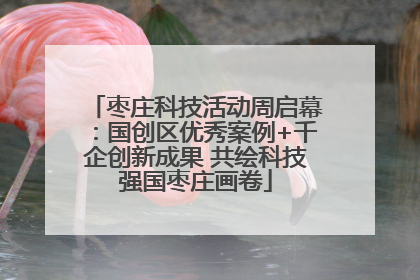 枣庄科技活动周启幕：国创区优秀案例+千企创新成果 共绘科技强国枣庄画卷