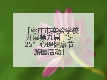 枣庄市实验学校开展第九届“5·25”心理健康节游园活动