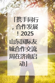 携手同行，合作发展！2025山东国际友城合作交流周在济南启动