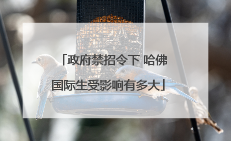 政府禁招令下 哈佛国际生受影响有多大