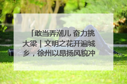 敢当弄潮儿 奋力挑大梁｜文明之花开遍城乡，徐州以昂扬风貌冲刺“万亿之城”
