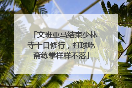 文班亚马结束少林寺十日修行，打球吃斋练拳样样不落