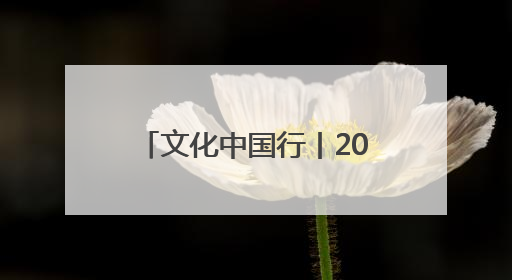 文化中国行丨2000多岁的它，“飞”进了寻常百姓家