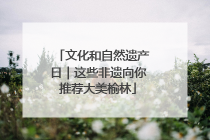 文化和自然遗产日｜这些非遗向你推荐大美榆林