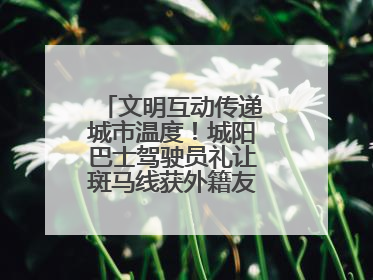 文明互动传递城市温度！城阳巴士驾驶员礼让斑马线获外籍友人鞠躬致谢