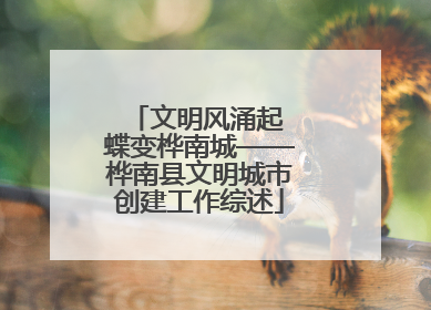 文明风涌起 蝶变桦南城——桦南县文明城市创建工作综述