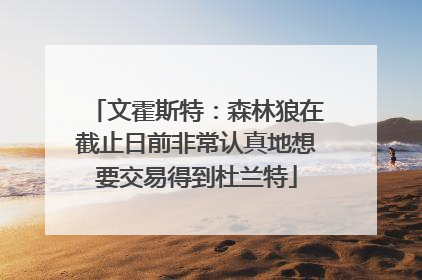 文霍斯特：森林狼在截止日前非常认真地想要交易得到杜兰特