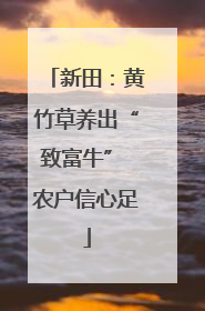 新田：黄竹草养出“致富牛” 农户信心足