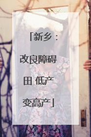 新乡：改良障碍田 低产变高产