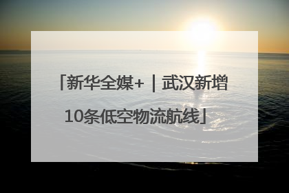 新华全媒+｜武汉新增10条低空物流航线