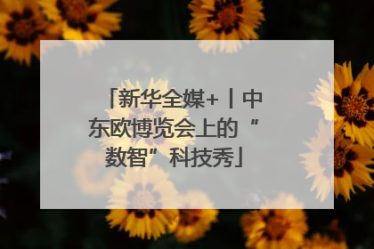 新华全媒+丨中东欧博览会上的“数智”科技秀