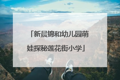 新晨锦和幼儿园萌娃探秘莲花街小学
