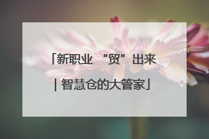 新职业 “贸”出来｜智慧仓的大管家